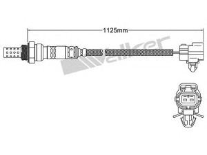 WALKER PRODUCTS 250-22085 lambda jutiklis 
 Variklis -> Variklio elektra
G628 18 861