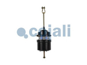 COJALI 2251417 spyruoklinis stabdžių cilindras
0114202218, A0114202218, 072202000