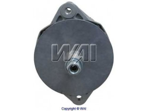 WAIglobal 8094N kintamosios srovės generatorius
3675244RX, 10R1746, 2008281, 2344906
