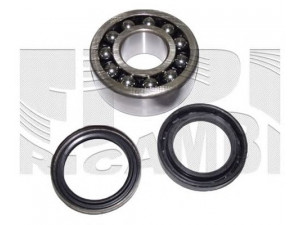 CALIBER RC1420 rato guolio komplektas 
 Ašies montavimas/vairavimo mechanizmas/ratai -> Rato stebulė/montavimas -> Rato guolis