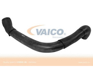 VAICO V30-1621 radiatoriaus žarna 
 Aušinimo sistema -> Žarnelės/vamzdeliai/sujungimai -> Radiatoriaus žarnos
140 500 04 75, 140 500 05 75, 140 500 07 75