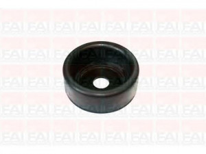FAI AutoParts SS4734 stebulės laikiklio įvorė 
 Ašies montavimas/vairavimo mechanizmas/ratai -> Ašies atrama/ašies korpusas/ašies montavimas -> Pasukamojo veleno sujungimas
46476755