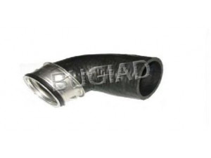 BUGIAD 82653 kompresoriaus padavimo žarna 
 Išmetimo sistema -> Turbokompresorius
1K0 145828 Q