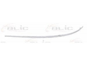 BLIC 5703-05-3506921P apdailos/apsauginės juostelė, buferis 
 Kėbulas -> Apdaila/apsauga/dekoratyvinės juostelės/emblemos -> Apdailos/apsauginės juostelės
A1698850174