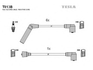 TESLA T813B uždegimo laido komplektas 
 Kibirkšties / kaitinamasis uždegimas -> Uždegimo laidai/jungtys