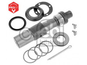 FEBI BILSTEIN 03498 remonto komplektas, pasukamojo kakliuko kaištis 
 Ašies montavimas/vairavimo mechanizmas/ratai -> Pasukamojo kakliuko remonto rinkinys -> Remonto komplektas, karbiuratorius
276014, 276029