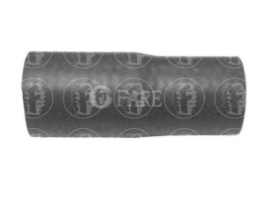 FARE SA 8312 radiatoriaus žarna 
 Aušinimo sistema -> Žarnelės/vamzdeliai/sujungimai -> Radiatoriaus žarnos
1307W4, 1307W4