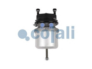 COJALI 2351309 spyruoklinis stabdžių cilindras