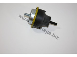 AUTOMEGA 301844075 variklio montavimas
184475, 184475