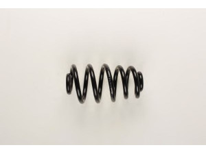 BILSTEIN 36-148011 spyruoklė 
 Pakaba -> Spyruoklės
8E0 511 115 DL