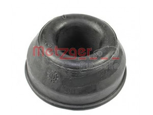 METZGER 52025108 valdymo svirties/išilginių svirčių įvorė 
 Ašies montavimas/vairavimo mechanizmas/ratai -> Valdymo svirtis/pasukamosios svirties sujungimas -> Montavimas/sutvirtinimas
251 407 179, 251 407 179A
