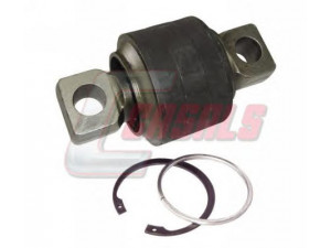 CASALS R6896 remonto komplektas, trauklė 
 Ašies montavimas/vairavimo mechanizmas/ratai -> Valdymo svirtis/pasukamosios svirties sujungimas -> Vairo trauklės (valdymo svirtis, išilginis balansyras, diago
81432206202, 550812, 639319, 275988