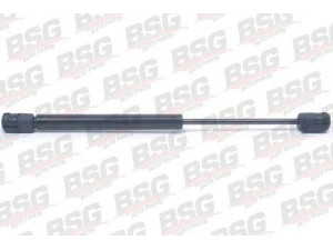 BSG BSG 70-980-010 dujinė spyruoklė, bagažinė 
 Priedai -> Bagažinė/pakrovimo skyrius
8731.93, 8731.E2, 873193