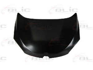 BLIC 6803-00-6043280P gaubtas 
 Kėbulas -> Transporto priemonės galas -> Gaubtas/dalys/garso izoliacinė medžiaga
651000035R