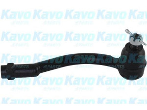 KAVO PARTS STE-4031 skersinės vairo trauklės galas 
 Vairavimas -> Vairo mechanizmo sujungimai
568202K050