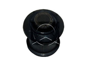SIDEM 891601 valdymo svirties/išilginių svirčių įvorė 
 Ašies montavimas/vairavimo mechanizmas/ratai -> Valdymo svirtis/pasukamosios svirties sujungimas -> Montavimas/sutvirtinimas
272084