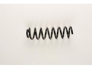 BILSTEIN 36-203307 spyruoklė 
 Pakaba -> Spyruoklės
82 00 249 829