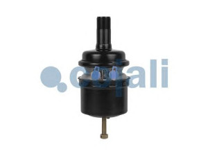 COJALI 2251312 spyruoklinis stabdžių cilindras