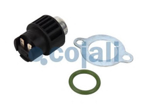 COJALI 2260373 jutiklis, alkūninio veleno impulsas
20562642