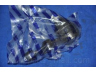 PARTS-MALL PXCJA-025 atramos/vairo trauklė
545303J000