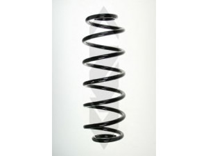 SPIDAN 85010 spyruoklė 
 Pakaba -> Spyruoklės
5102.F4, 5102.F4