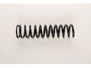 BILSTEIN 36-225996 spyruoklė 
 Pakaba -> Spyruoklės
124 321 21 04