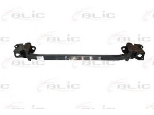 BLIC 6502-03-6055230P priekinis variklio gaubtas
8200010109, 8200509876