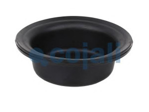 COJALI 6001109 membrana, spyruoklinis cilindras