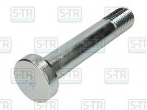 S-TR STR-50052 lingės varžtas
0334105050