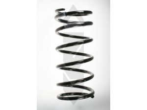 SPIDAN 55793 spyruoklė 
 Pakaba -> Spyruoklės
MB809130, MB932860