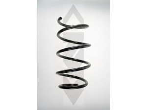 SPIDAN 56950 spyruoklė 
 Pakaba -> Spyruoklės
31 33 6 768 810