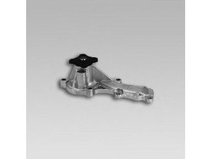 GK 987366 vandens siurblys 
 Aušinimo sistema -> Vandens siurblys/tarpiklis -> Vandens siurblys
210104M525, 210104M526, 210109F600