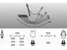 uždegimo laido komplektas