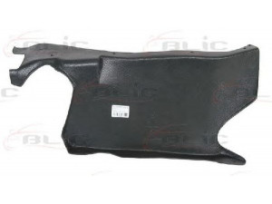 BLIC 6601-02-0020872P variklio dangtis 
 Variklis -> Variklio dangtis
8N0825250, 8N0825250G