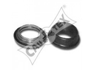 CAUTEX 031246 remonto komplektas, pakabos statramstis 
 Ašies montavimas/vairavimo mechanizmas/ratai -> Montavimas, pakabos statramstis
503527, 503733, 503527, 503733
