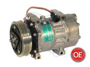 ELECTRO AUTO 20A8131 kompresorius, oro kondicionierius 
 Oro kondicionavimas -> Kompresorius/dalys
5001858486, 5010412961, 5010483099