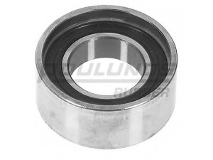 ROULUNDS RUBBER GT80290 įtempiklio skriemulys, paskirstymo diržas
081821, 082917, 26207509, 95619217