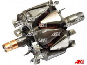 AS-PL AR3024 rotorius, kintamosios srovės generatorius