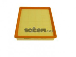 SogefiPro PA7748 oro filtras 
 Techninės priežiūros dalys -> Techninės priežiūros intervalai
J1321066, 1654600QAD, 8200259359