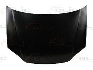 BLIC 6803-00-2938280P gaubtas 
 Kėbulas -> Transporto priemonės galas -> Gaubtas/dalys/garso izoliacinė medžiaga
60100S5AA90ZZ