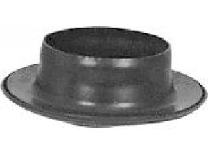 VAN WEZEL 5812399 spyruoklės dangtelis 
 Pakaba -> Spyruoklės
191512113