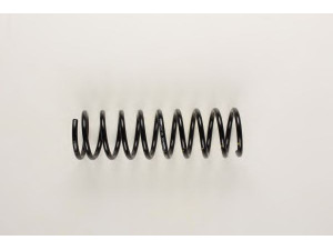 BILSTEIN 36-129911 spyruoklė 
 Pakaba -> Spyruoklės
6991169, 91 AB 5560 FB, 91AB 5560 TB