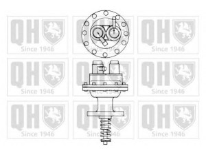QUINTON HAZELL QFP129 kuro siurblys 
 Degalų tiekimo sistema -> Kuro siurblys/dalys -> Kuro siurblys
25 061 470, 55 06 967, 8 16 056