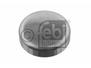 FEBI BILSTEIN 31793 užšalęs kaištis 
 Variklis -> Karteris -> Variklio blokas
036 103 113 A, 059 103 113, MN980024