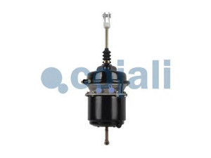 COJALI 2251414 spyruoklinis stabdžių cilindras
1519129, 646833, 646834, 835107