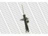 MONROE G8135 amortizatorius 
 Pakaba -> Amortizatorius
4060A206