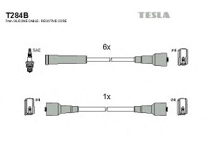 TESLA T284B uždegimo laido komplektas 
 Kibirkšties / kaitinamasis uždegimas -> Uždegimo laidai/jungtys
1612508, 90350564