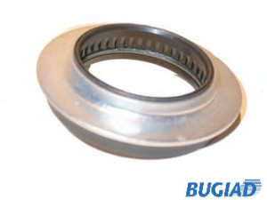 BUGIAD BSP20398 frikcinis guolis, pakabos statramsčio atramos montavimas 
 Ašies montavimas/vairavimo mechanizmas/ratai -> Montavimas, pakabos statramstis
6N0 412 249 C, 6N0 412 249 C, 6N0 412 249 C
