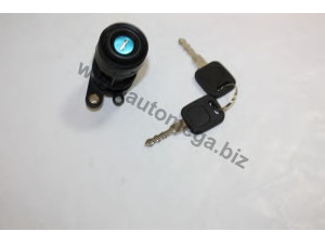 AUTOMEGA 3082705713A0D galinis užraktas
3A0827571D, 3A0827571D, 3A0827571D