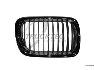 TRUCKTEC AUTOMOTIVE 08.62.256 radiatorius grotelės
51 13 8 195 152
